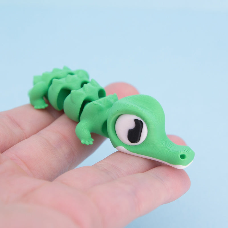 Snappo the Croc Hatchling
