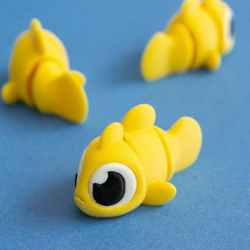 Sunny the Yellow Clown Goby