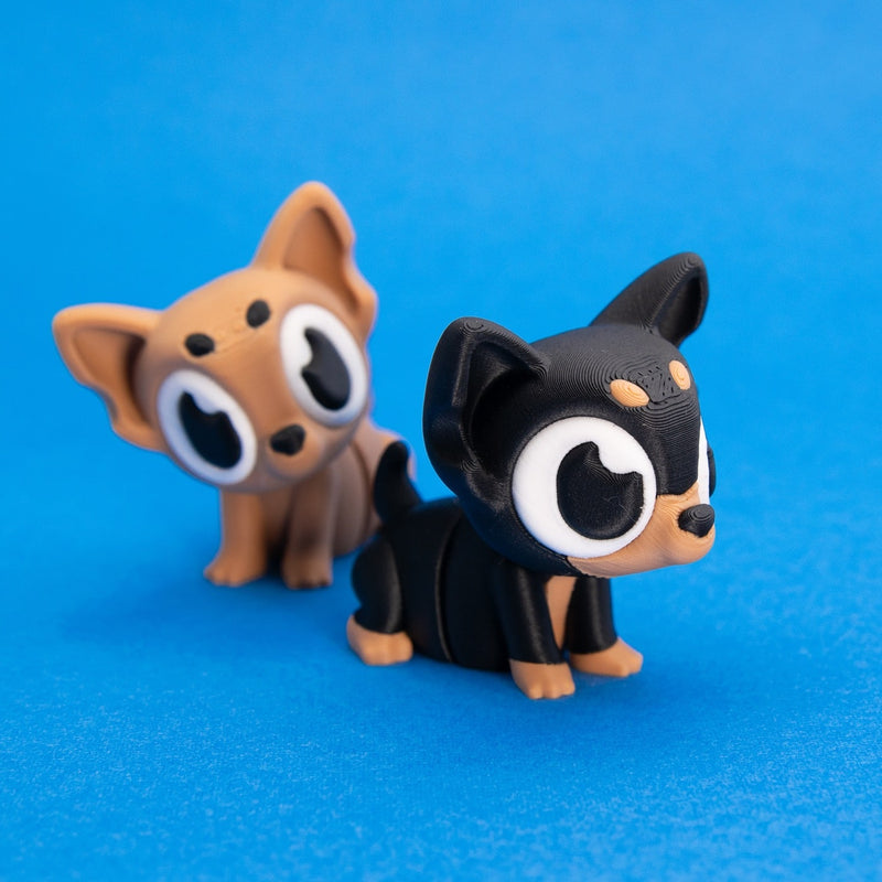 Taco & Nacho the Chihuahuas