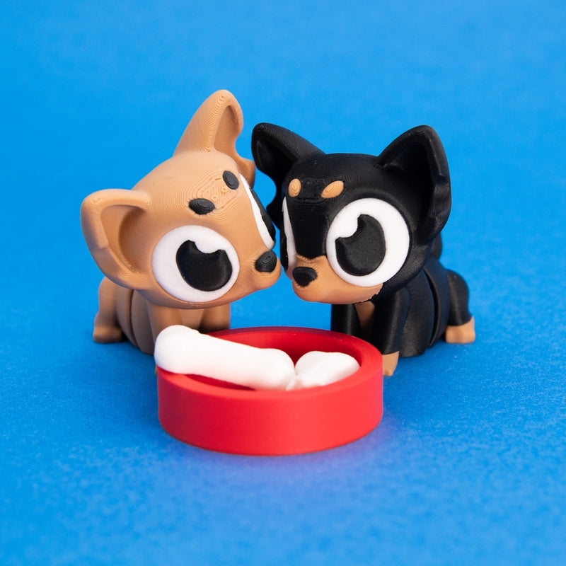 Taco & Nacho the Chihuahuas