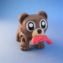 Teddy the Bear Cub