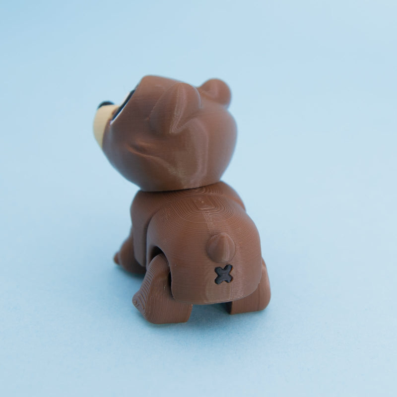 Teddy the Bear Cub