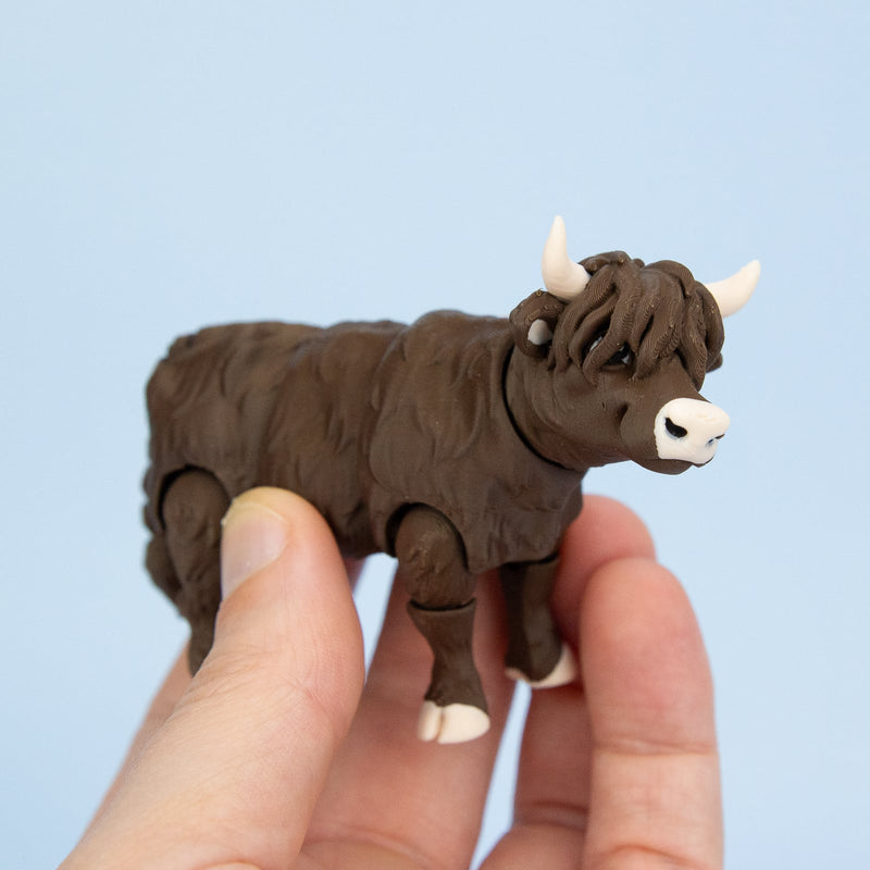 Thistle the Highland Cow