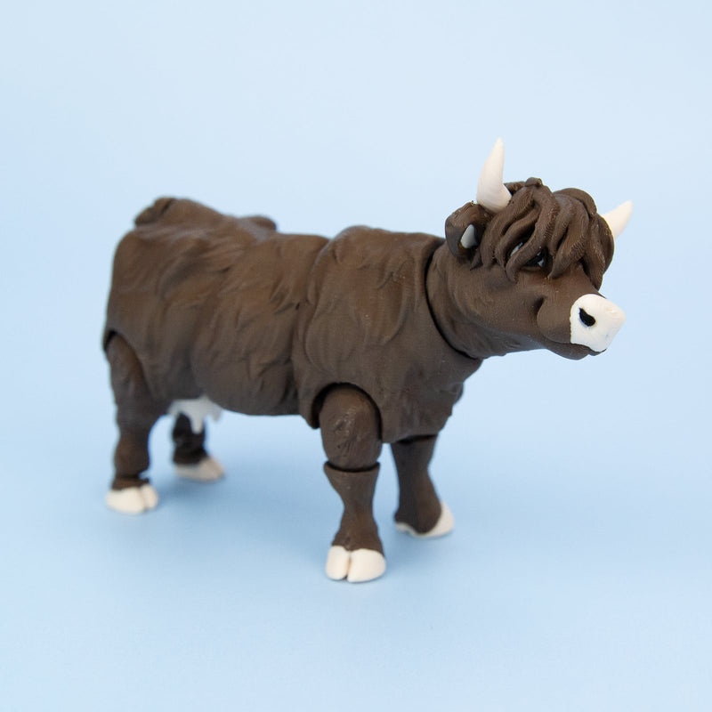 Thistle the Highland Cow