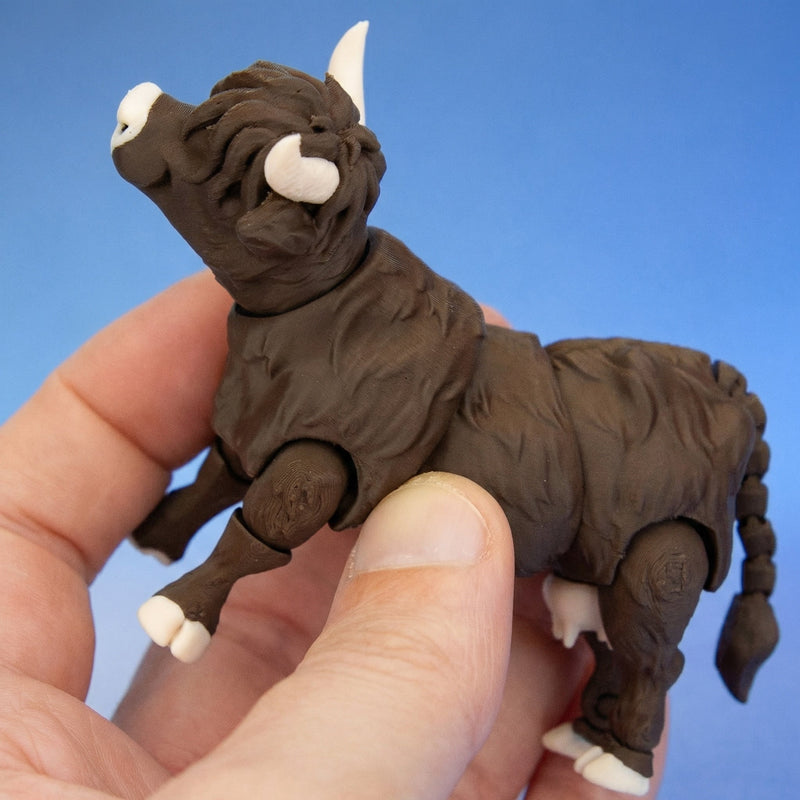 Thistle the Highland Cow