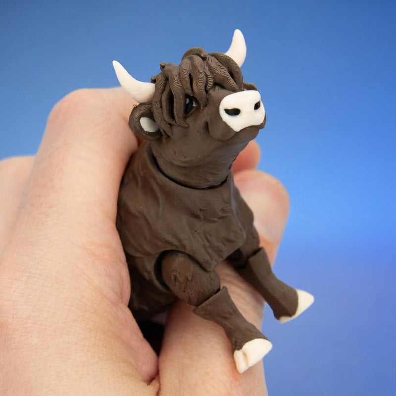 Thistle the Highland Cow