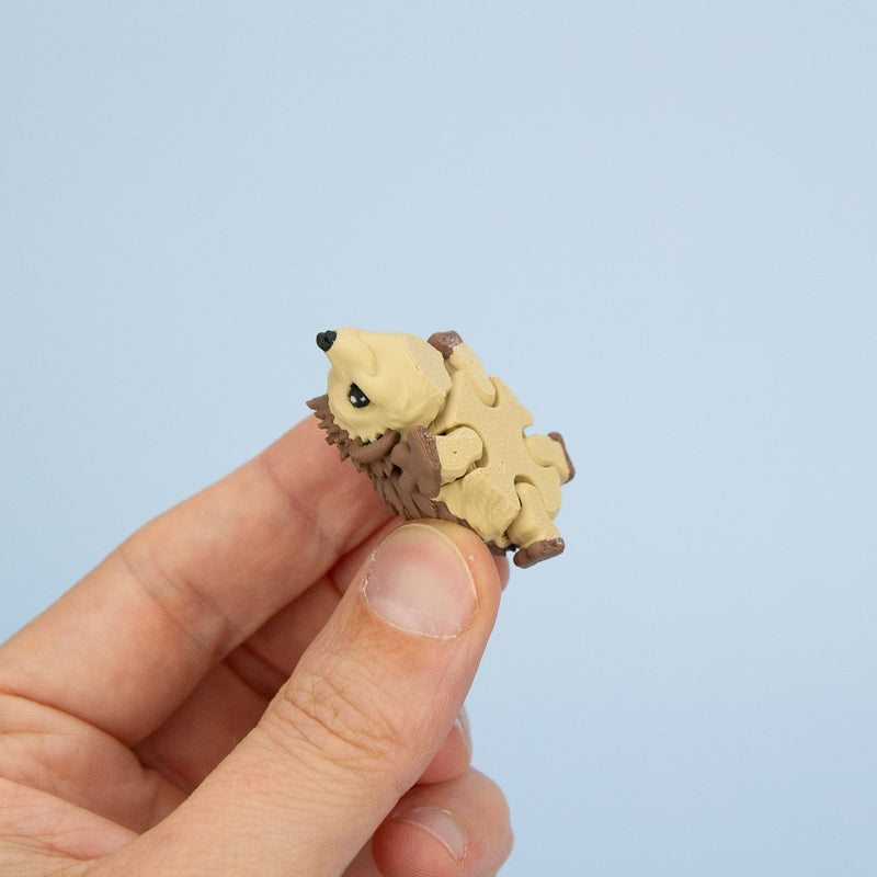 Quillbert the Hedgehog