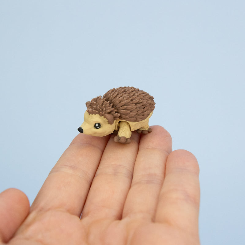 Quillbert the Hedgehog