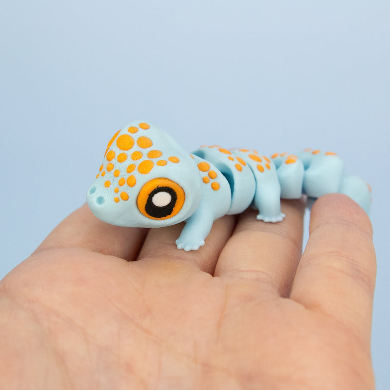 Koa the Tokay Gecko