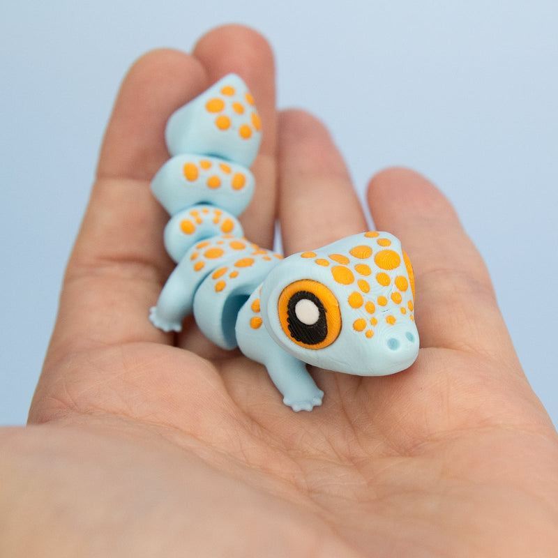 Koa the Tokay Gecko