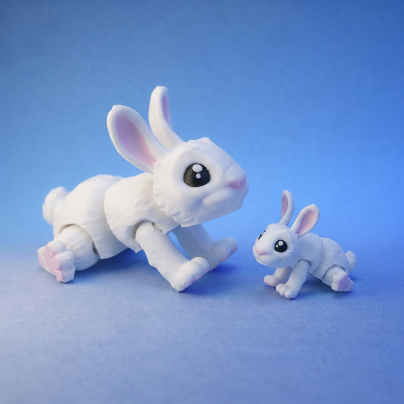 Willow the White Rabbit