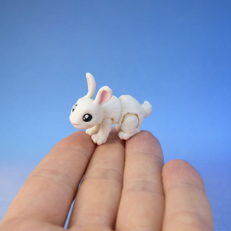 Willow the White Rabbit