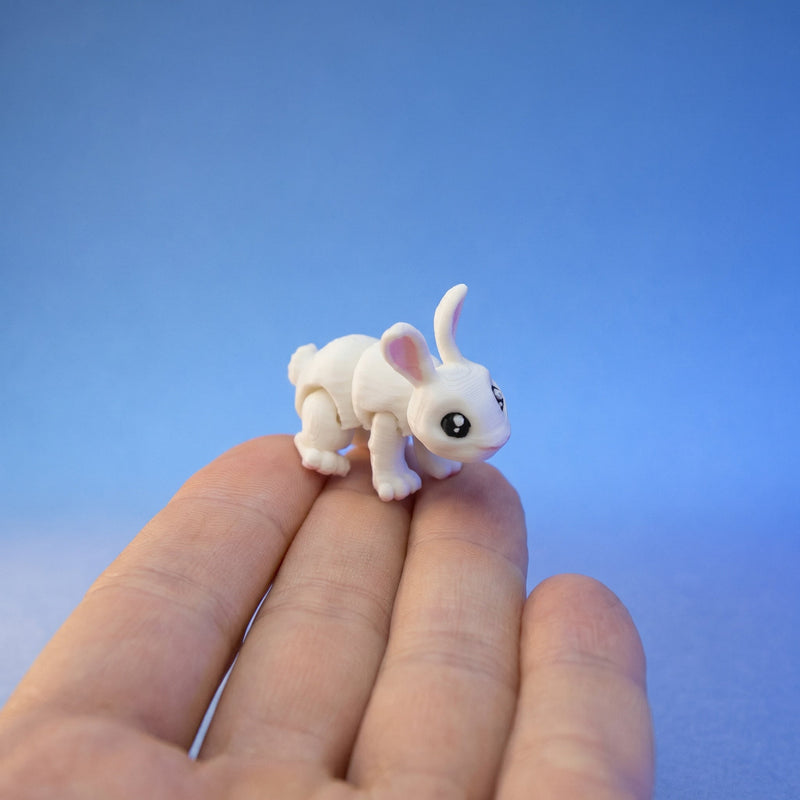 Willow the White Rabbit