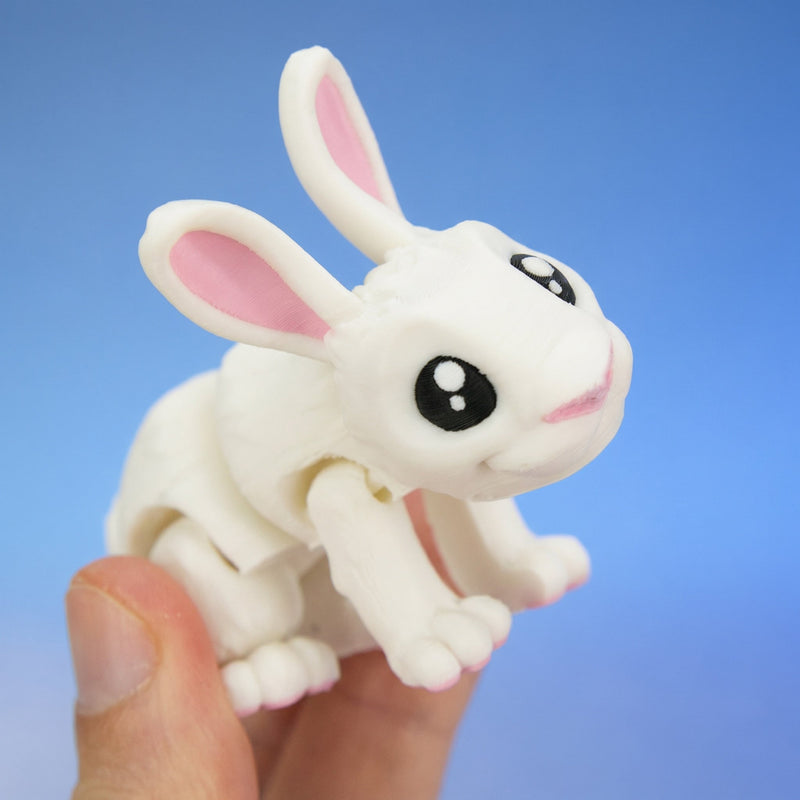 Willow the White Rabbit