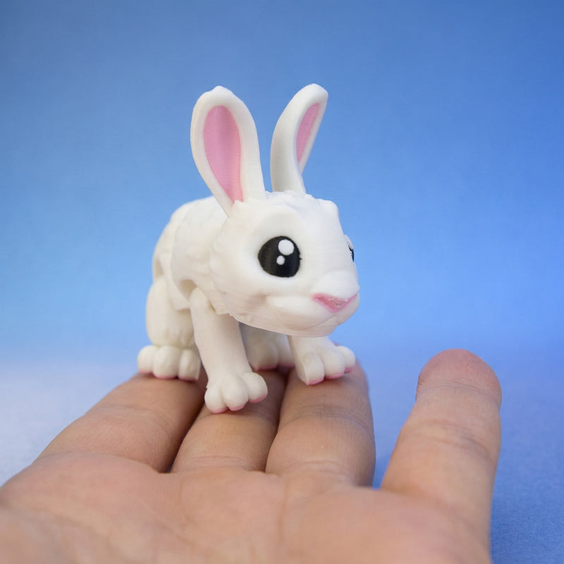 Willow the White Rabbit